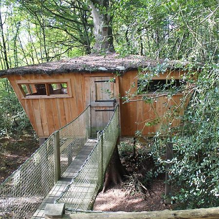 Les Ecolodges De L'Orbiere Force Exterior photo