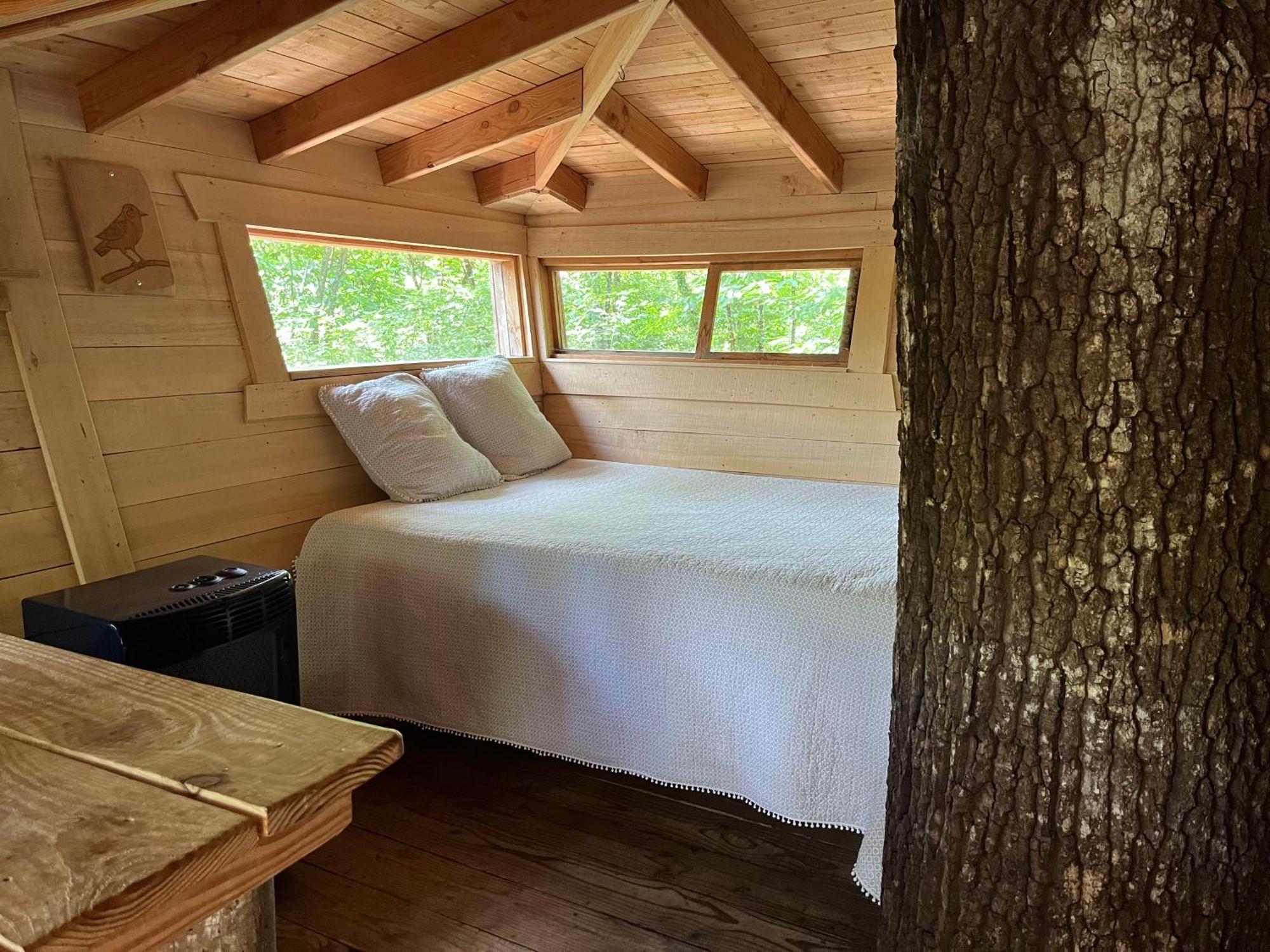 Les Ecolodges De L'Orbiere Force Exterior photo