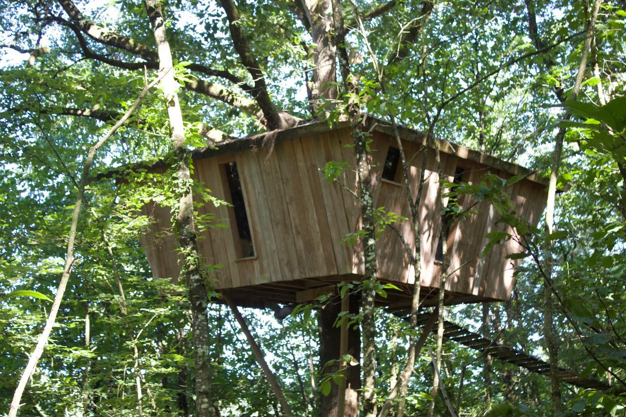 Les Ecolodges De L'Orbiere Force Exterior photo
