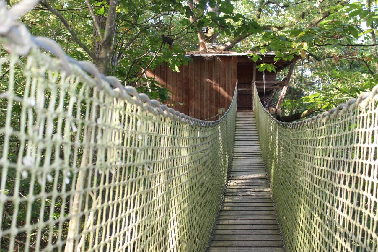 Les Ecolodges De L'Orbiere Force Exterior photo