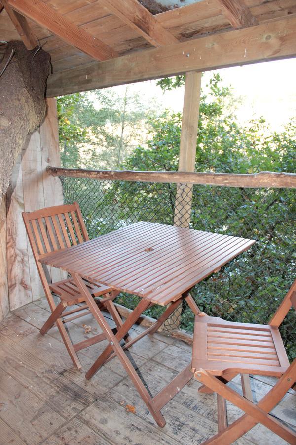 Les Ecolodges De L'Orbiere Force Exterior photo