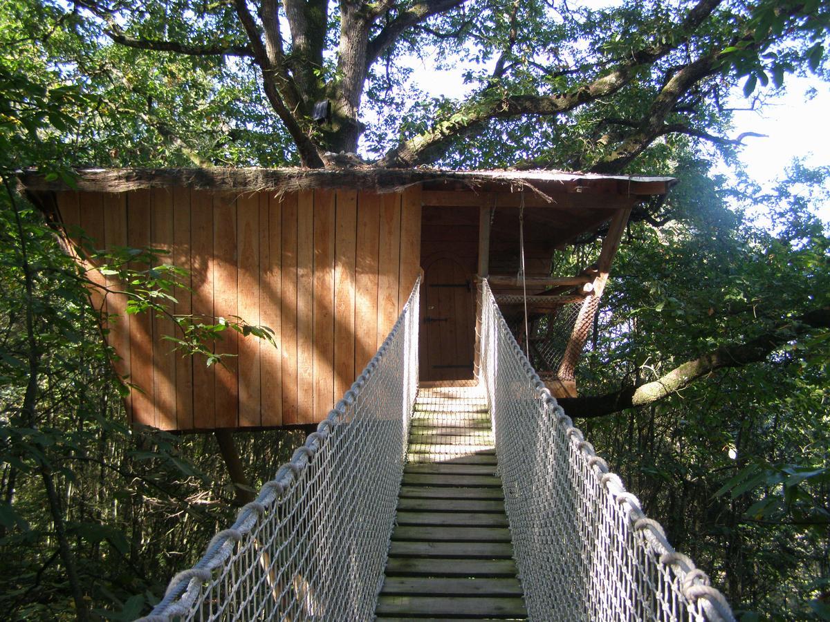 Les Ecolodges De L'Orbiere Force Exterior photo