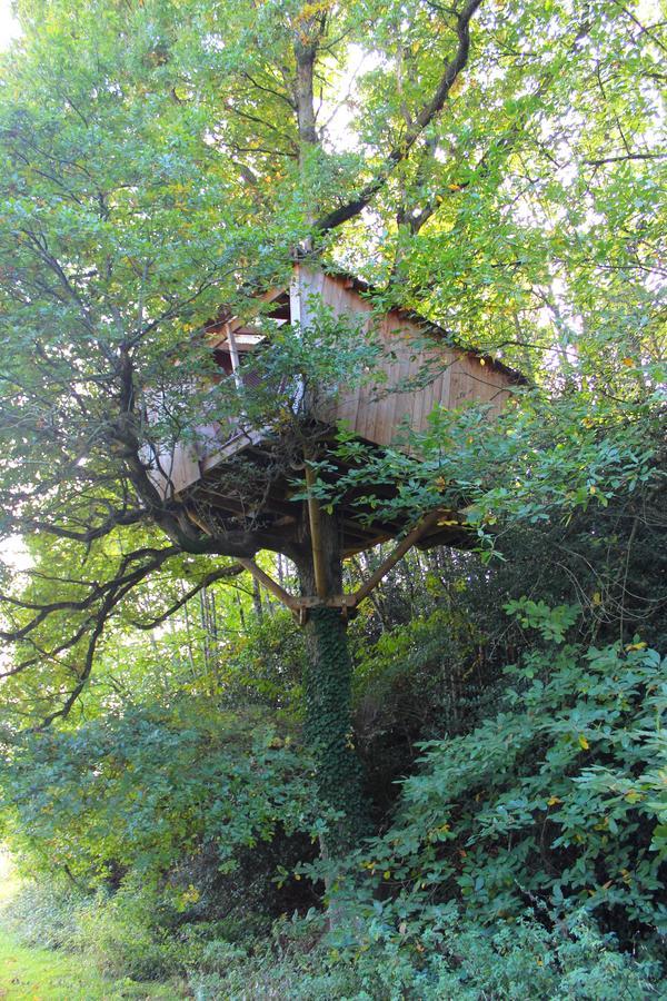 Les Ecolodges De L'Orbiere Force Exterior photo