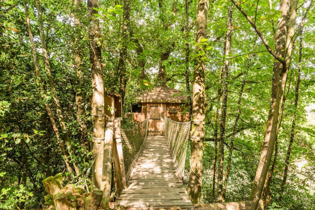 Les Ecolodges De L'Orbiere Force Exterior photo